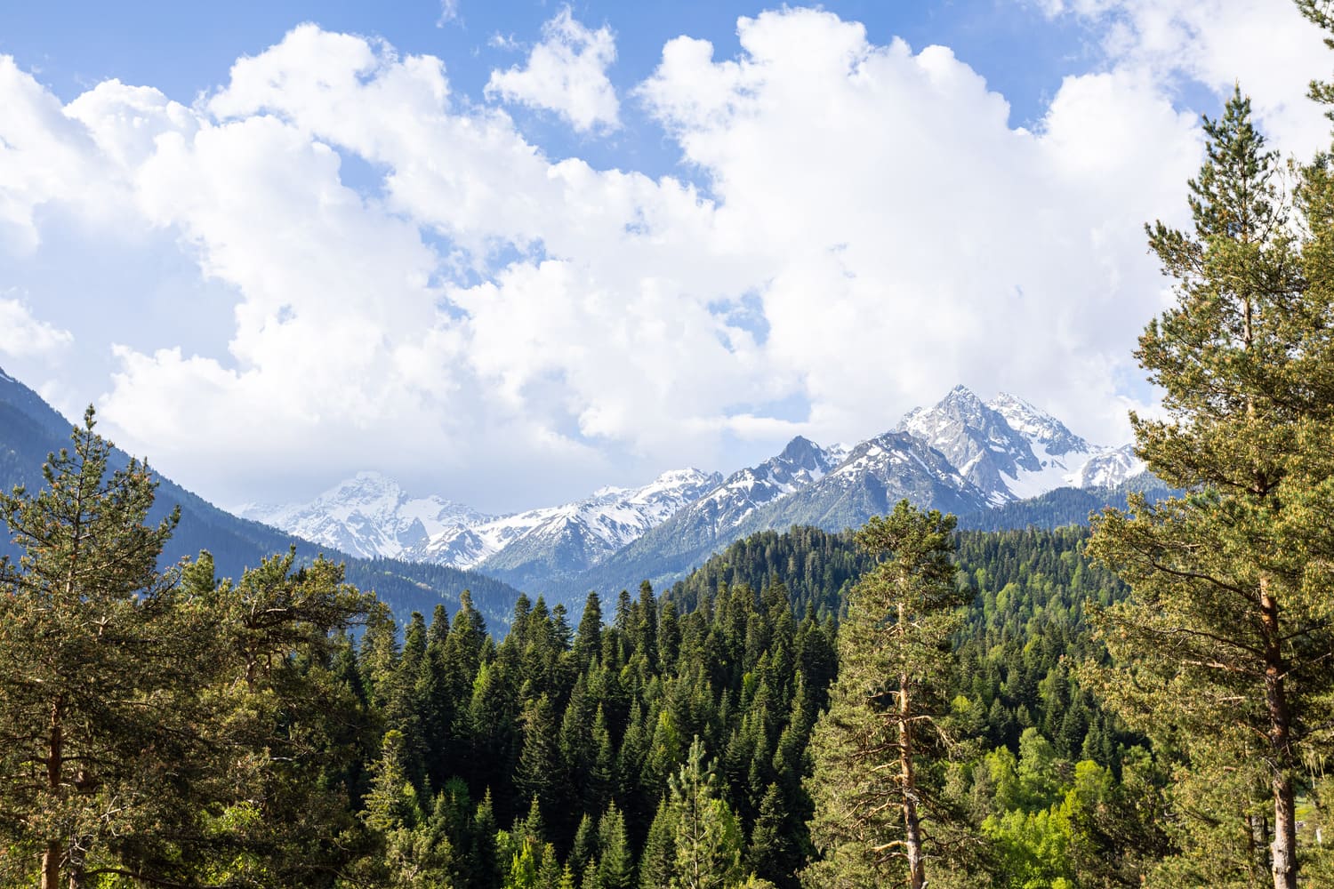 mountains (1)